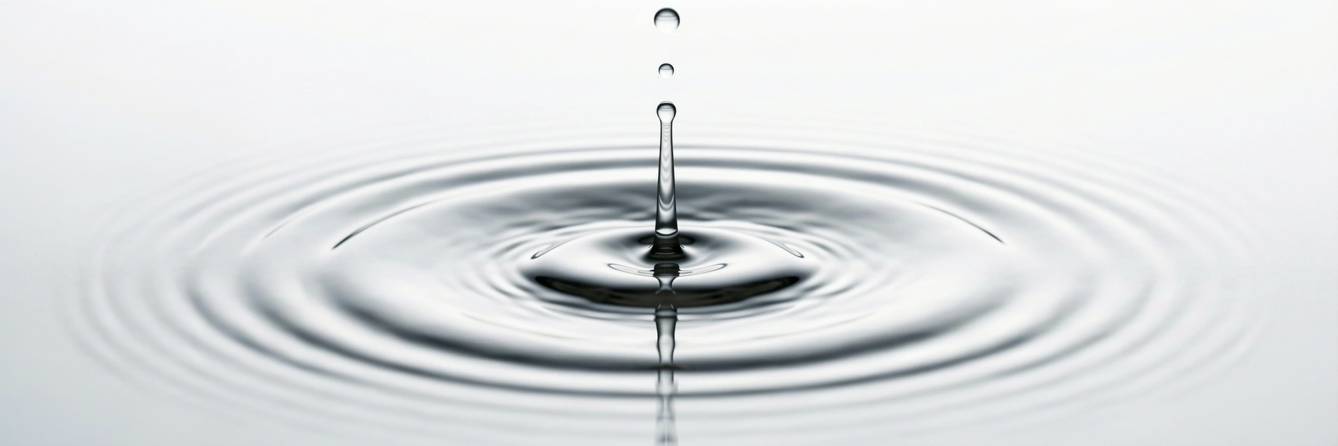 Metafora della purezza professionale